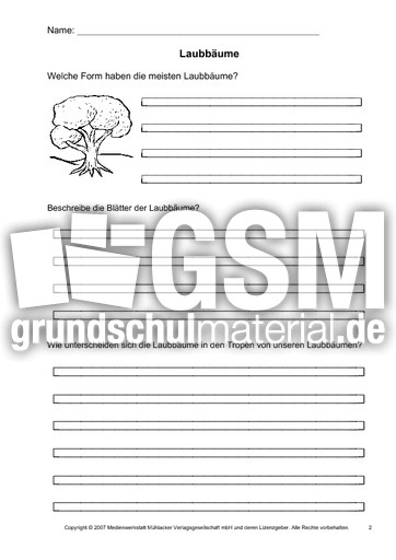Arbeitsblatt-Laubbäume-2.pdf